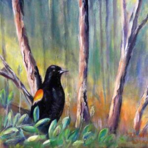 Red Winged Blackbird
