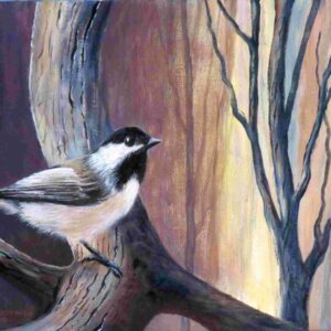 Black Capped Chickadee