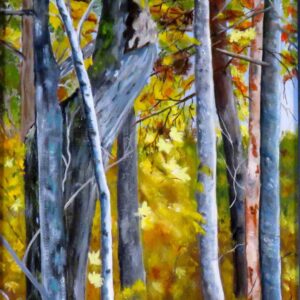 Forest Up Close