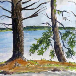 Trees at Wilson's Point