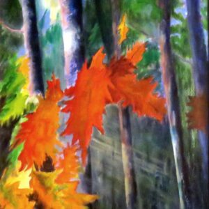 October Colours Miramichi