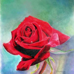 The Rose