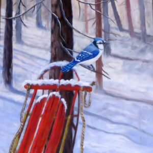 Jay  with Sled