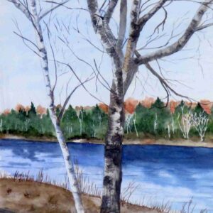 Blackville Park #2