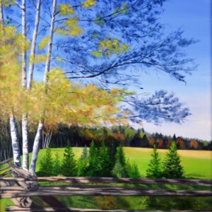Mactaquac Park #1
