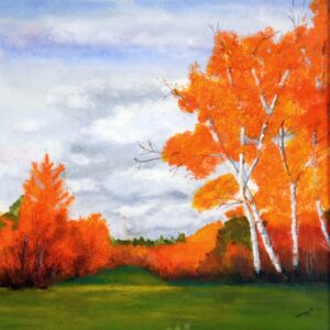 October Colours Miramichi