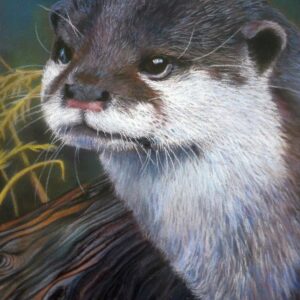 Otter (Print)