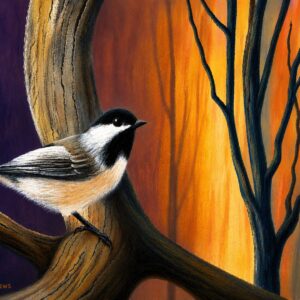 NB Chickadee