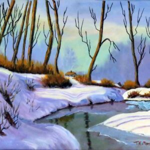 Small winter stream