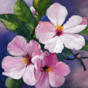 Apple Blossoms