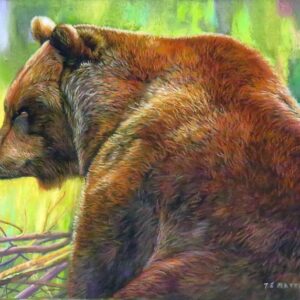 Grizzly