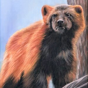 Wolverine (Print)